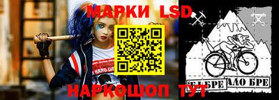 гашик Донской