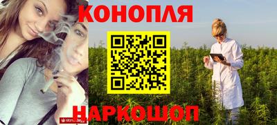 гашик Донской