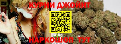 гашик Донской