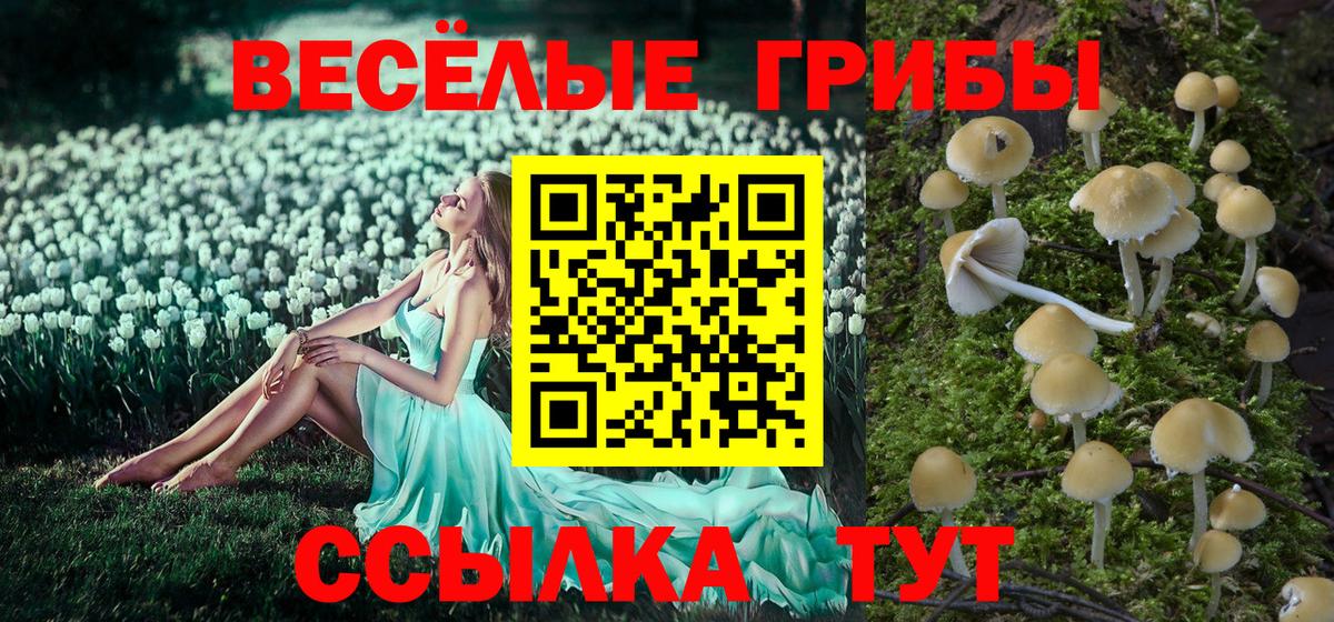 Псилоцибиновые грибы Psilocybe  Вход с VPN  Воронеж  Псилоцибиновые грибы Magic Shrooms 